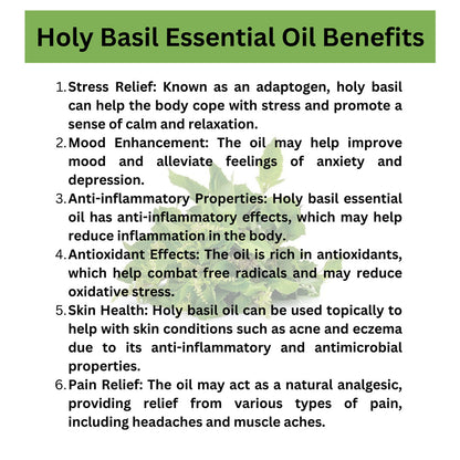 Holy Basil Essential Oil